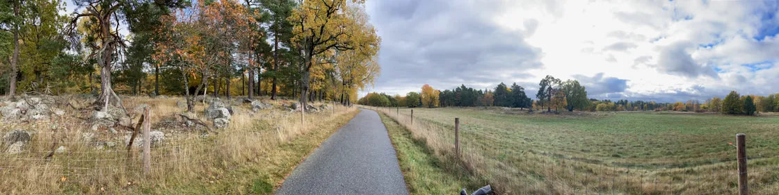 cover for Creating and updating website for health-related research