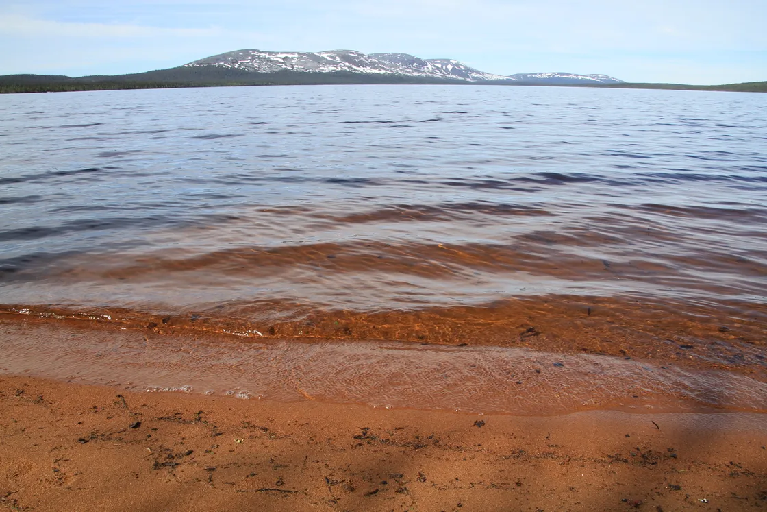 cover for Photographing while hiking in the north